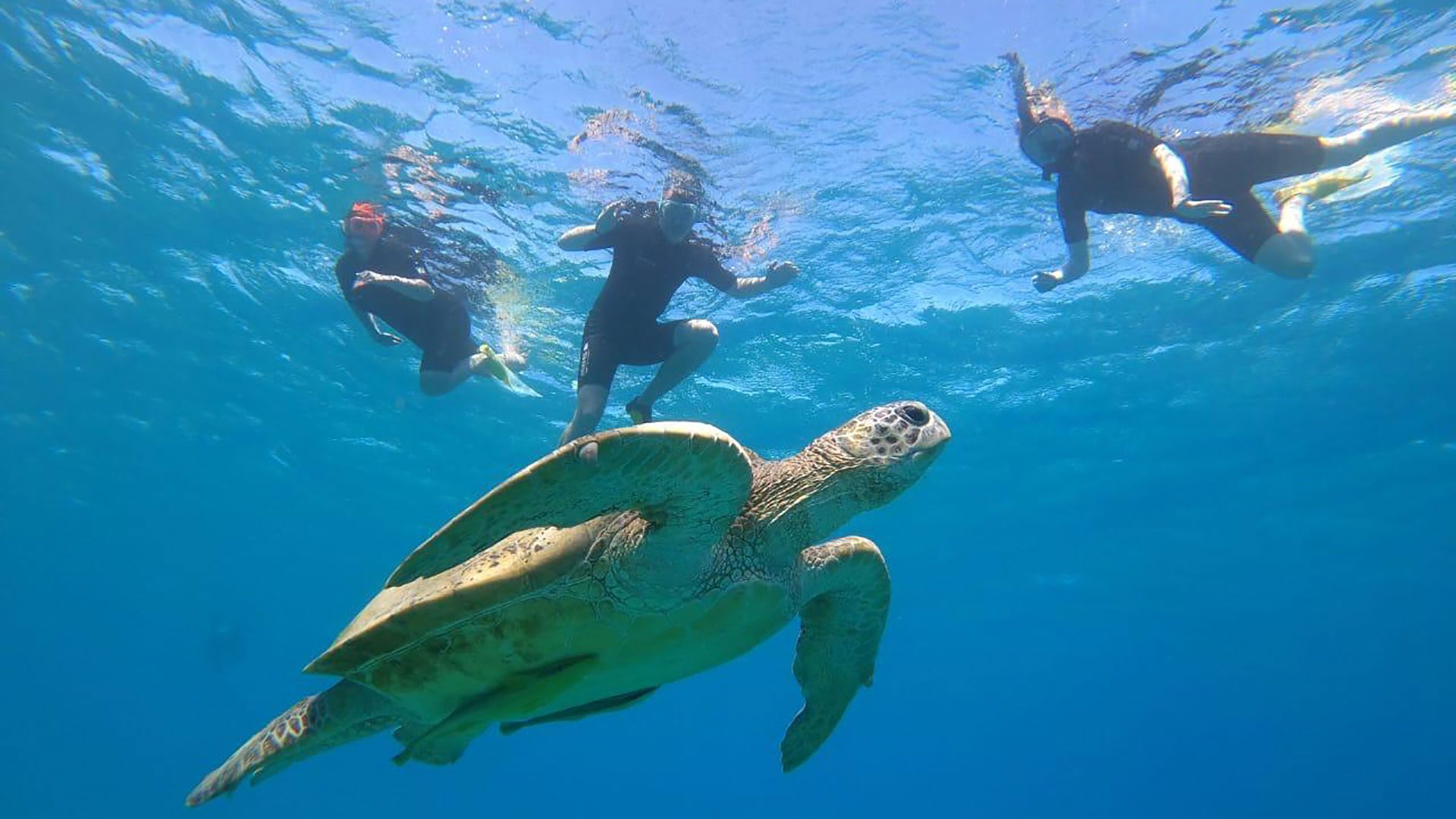 diving-1